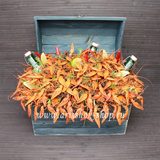 Сундук с раками №222